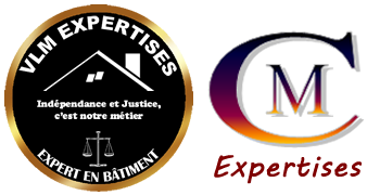 VLM-EXPERTISES